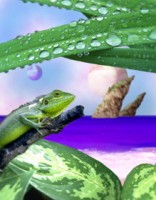 /album/photogallery/a05image03-jpg/